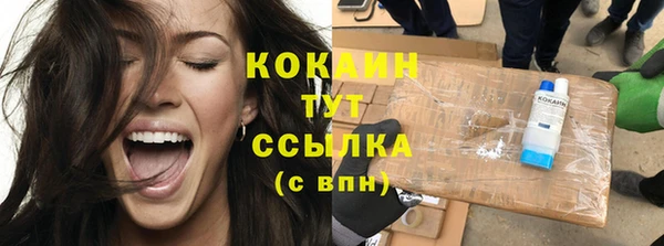 дурь Пересвет