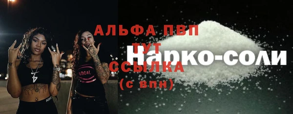 амф Пестово