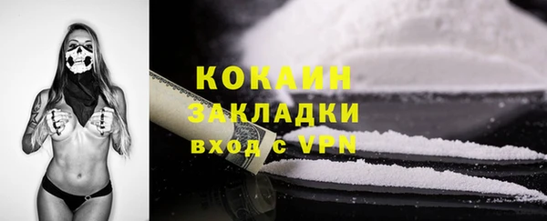 дурь Пересвет