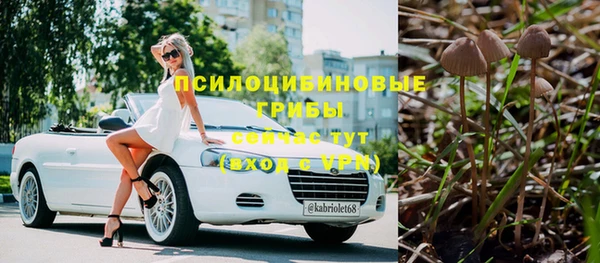амф Пестово