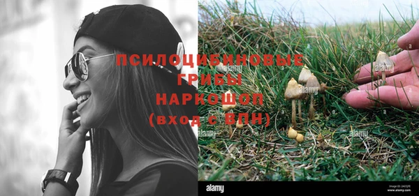 дурь Пересвет