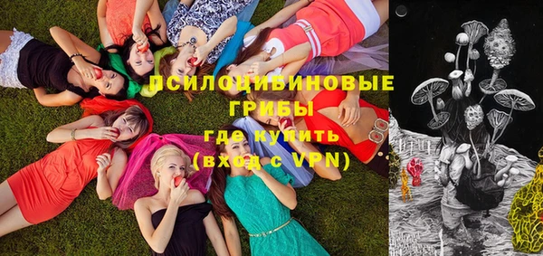 дурь Пересвет