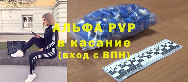 амф Пестово