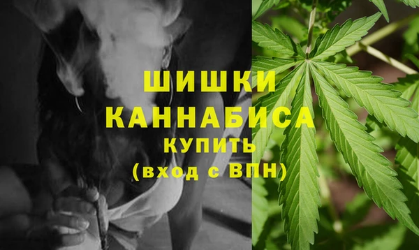 дурь Пересвет