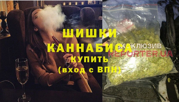амф Пестово