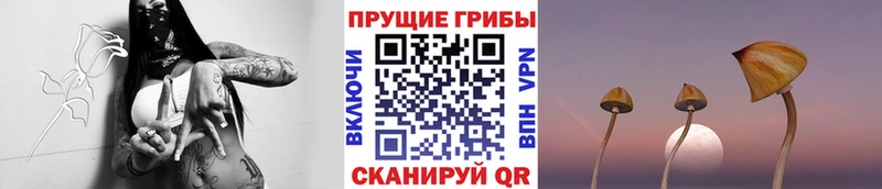 Псилоцибиновые грибы GOLDEN TEACHER  Купить где  Очёр 